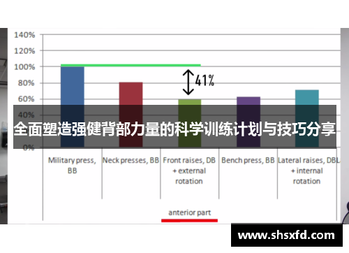 全面塑造强健背部力量的科学训练计划与技巧分享
