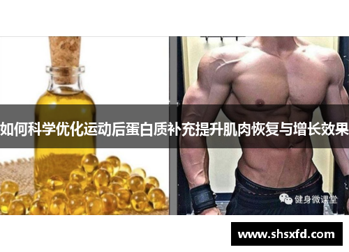 如何科学优化运动后蛋白质补充提升肌肉恢复与增长效果