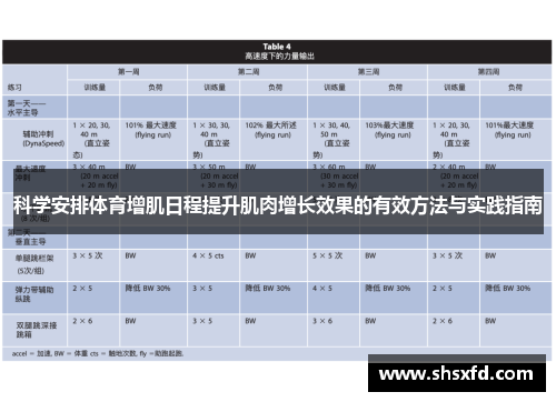 科学安排体育增肌日程提升肌肉增长效果的有效方法与实践指南