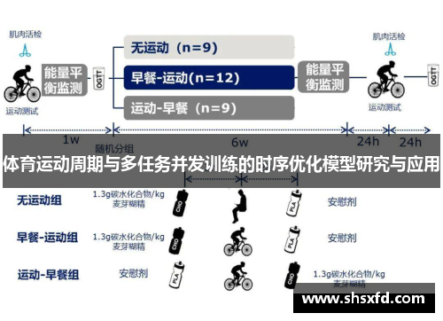 体育运动周期与多任务并发训练的时序优化模型研究与应用