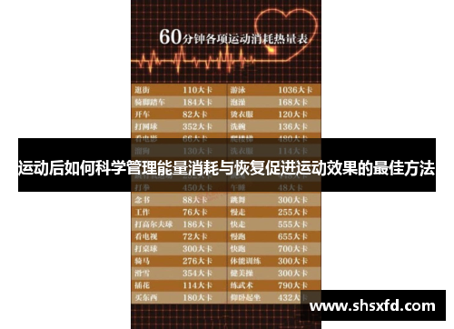 运动后如何科学管理能量消耗与恢复促进运动效果的最佳方法
