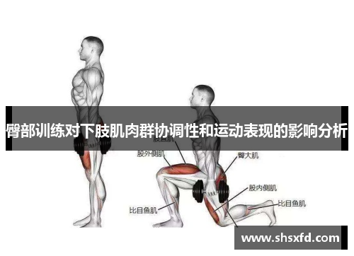 臀部训练对下肢肌肉群协调性和运动表现的影响分析