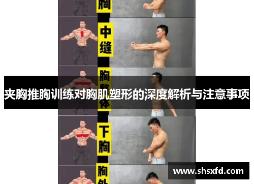 夹胸推胸训练对胸肌塑形的深度解析与注意事项